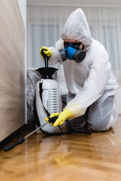 Best Indoor Pest Control  in Mcrae Helena, GA